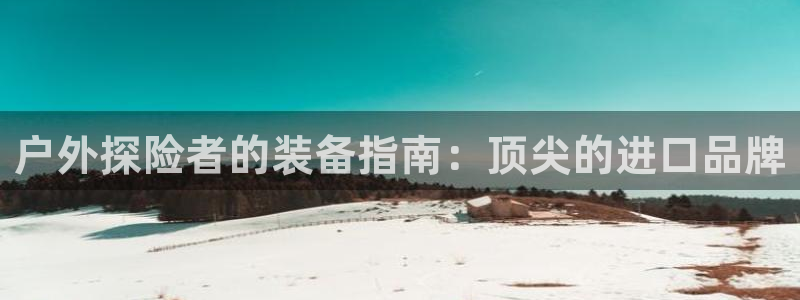 bsports网页版登录官方入口